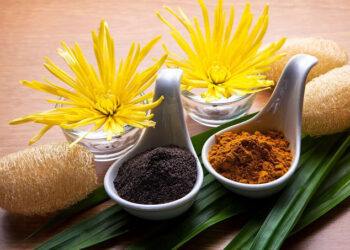I came to know the most widely used ancient methods of beauty treatment